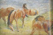 Franz Marc Graing Horses i (mk34) Spain oil painting artist